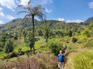 Astungkara Way in the Sydney Morning Herald