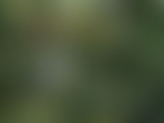 Our New Jungle Bathing Experience Recommended by the Bali Sun