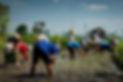 XT204648.jpg