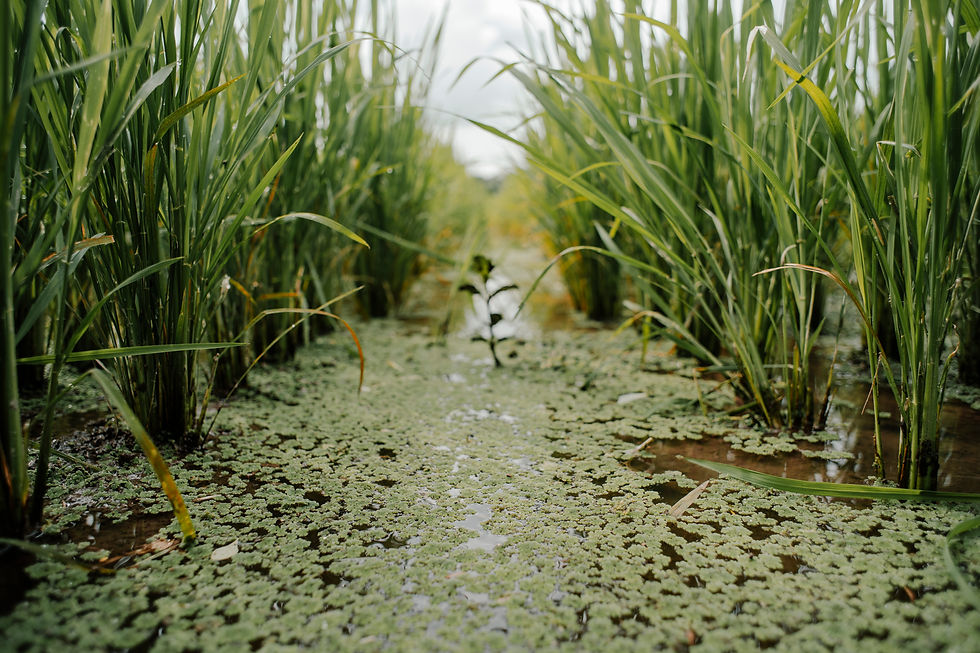 20240523 CRS photos-20.jpg