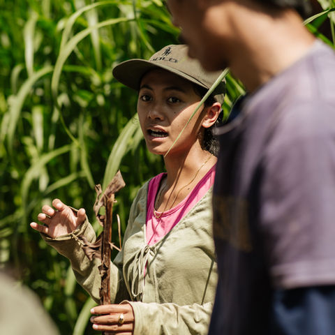 Bali trekking, Bali trail