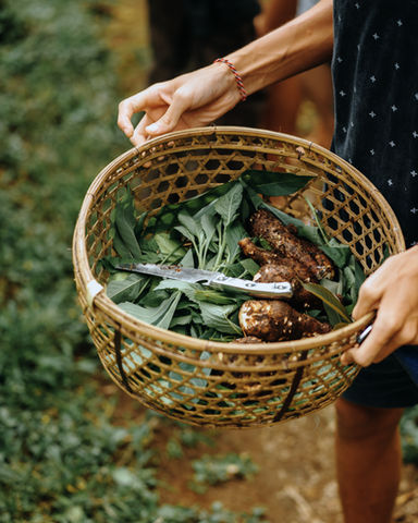 Bali trekking, Bali trail