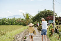 ce039336-63d3-4d19-86fc-8d263c0b532f.jpe