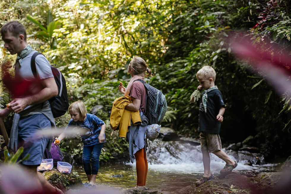 Discover the forest’s hidden treasures, cook with its gifts, and feel the power of cascading waters in North Bali’s landscapes.