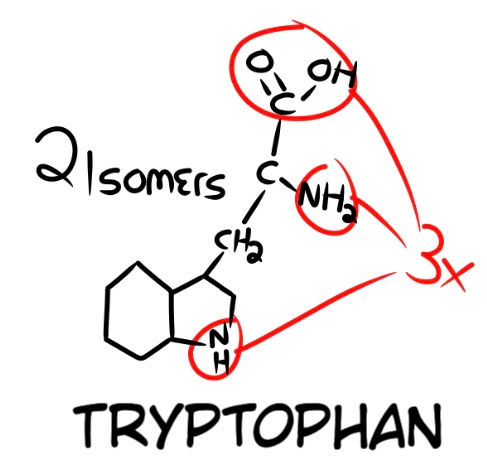 Fig. 10. Tryptophan has 3 potential connection points and 2 known isomers.