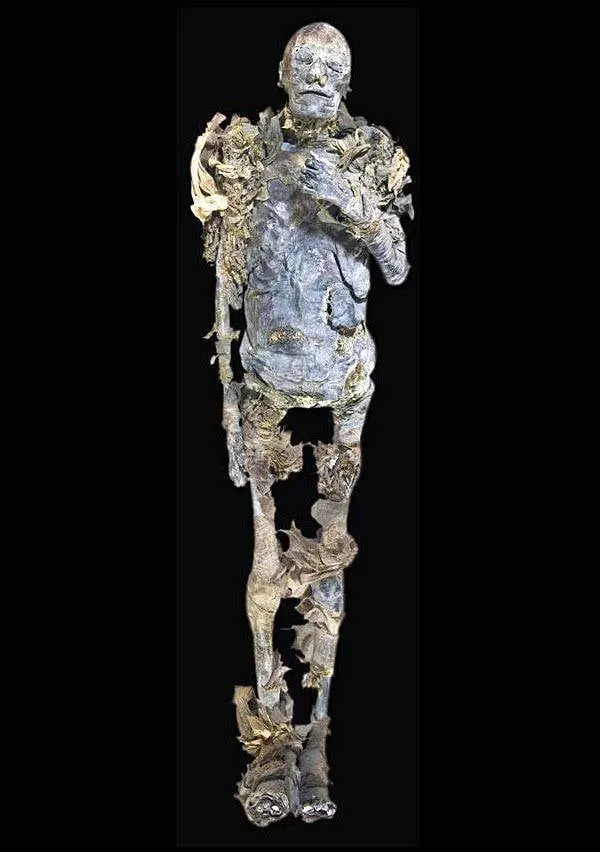 Full image of Hatshepsut's mummy. (https://egypt-museum.com/mummy-of-hatshepsut/#google_vignette)