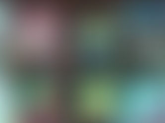 Evidence of the Soul From the Brain