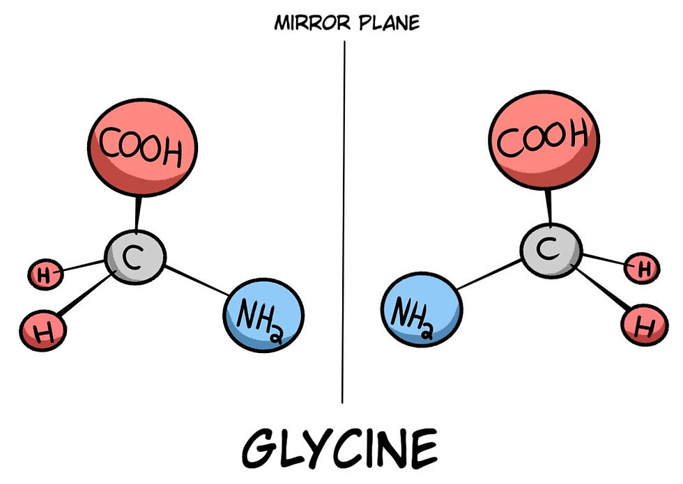 Fig. 1 Some molecules have a mirror image of themselves. Some have superimposable mirror images, like this glycine displayed here. Some have non-superimposable mirror images, which is known as Chirality.
