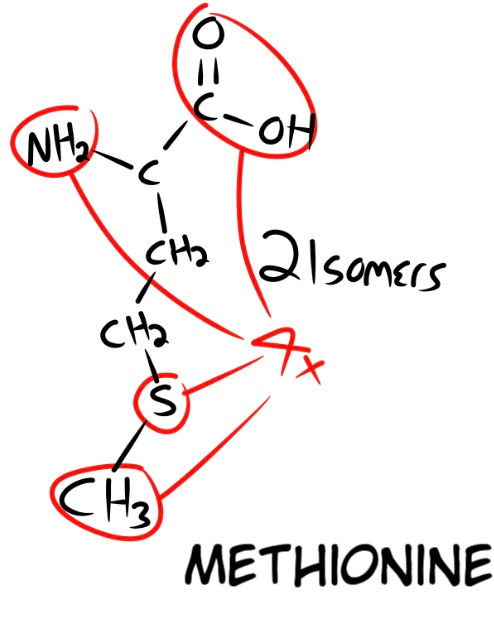 Fig. 11. Methionine has 4 potential connection points and 2 isomers.