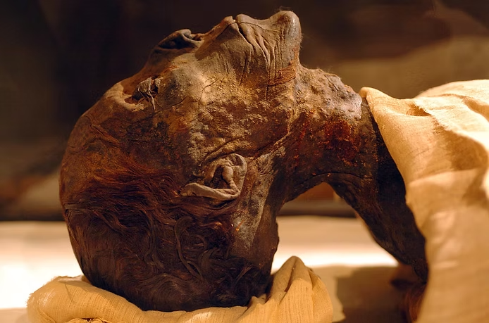 The mummy of Amenhotep II, notice the scars on his neck and face.