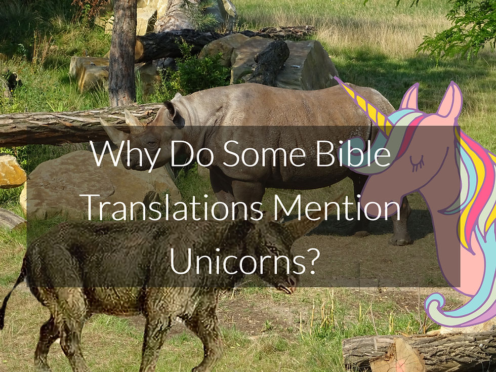 Why Does The Bible Mention Unicorns?