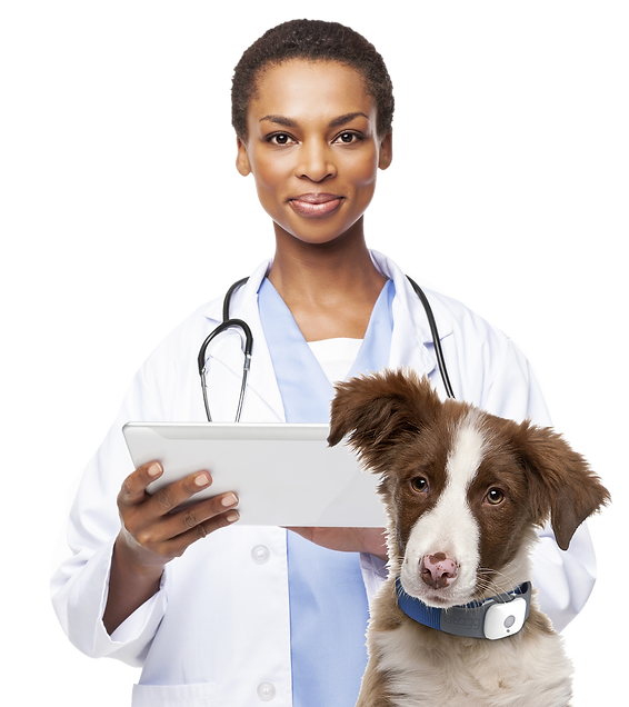 vet.png