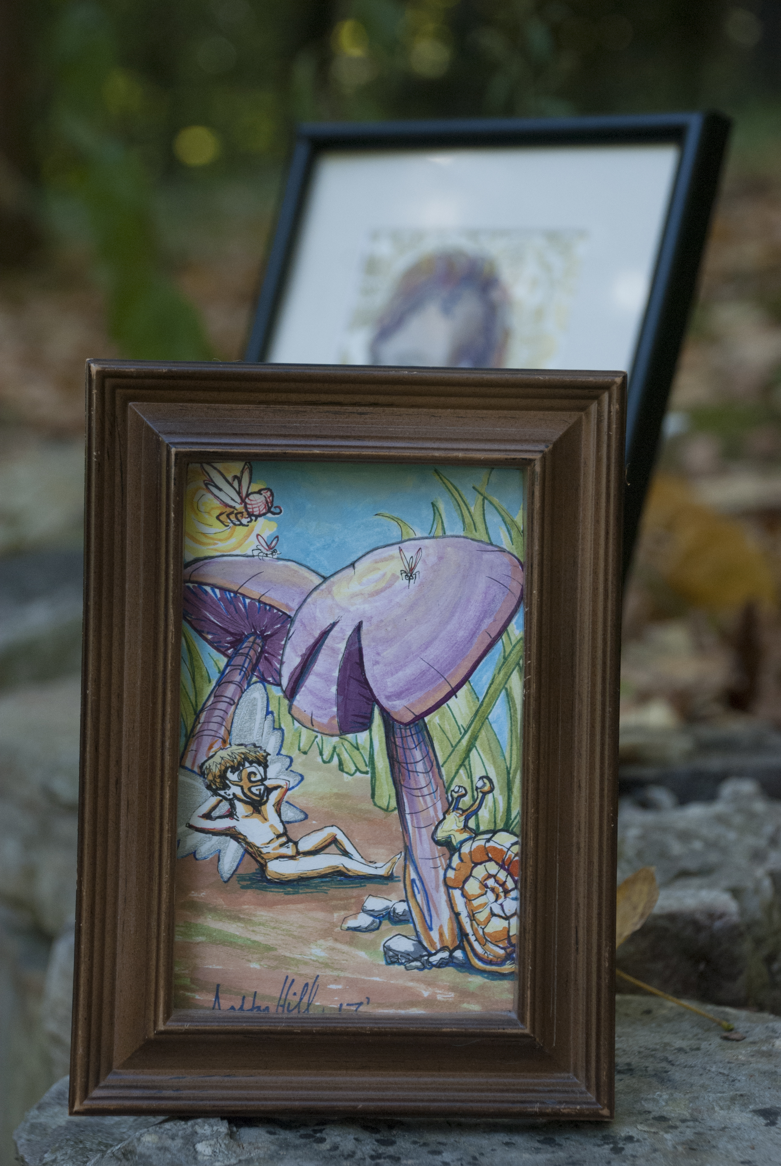 Fairy Siesta