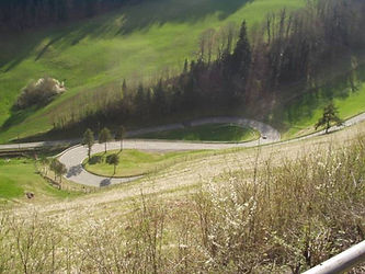 Vosges