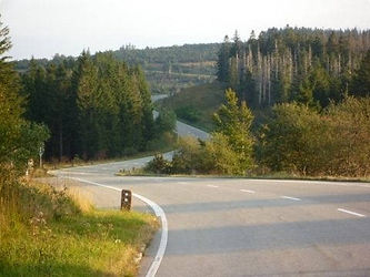Black Forest B500