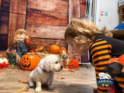 Mr Violet 4 weeks old sm-16