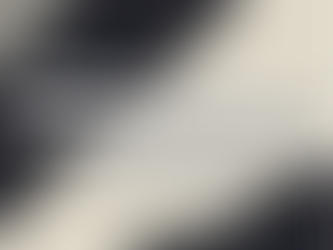 Corporate Magic - Transforming Business Events Into Unforgettable Experiences