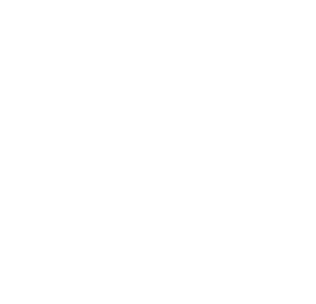 ellusionist & vanishing inc logos-03.png
