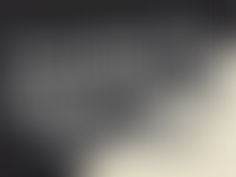 Presenting The Slightly Unusual Experience: Where Magic Meets Extraordinary Moments!