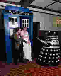 a doctor who themed wedding with a dalek and police call box