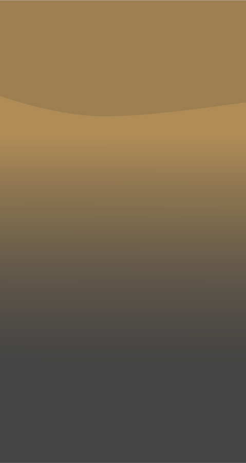 20e58e_d4f5a57a7f1c457895a7c84447e3141d~mv2.png.webp