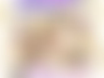 1月17日（土）道の駅とよとみです