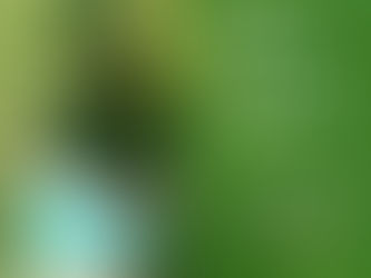 アートフォーラムあざみ野 展示会