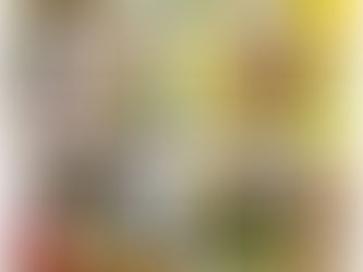 道の駅とよとみ ありがとうございました