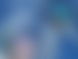 8月17日(土)道の駅とよとみです