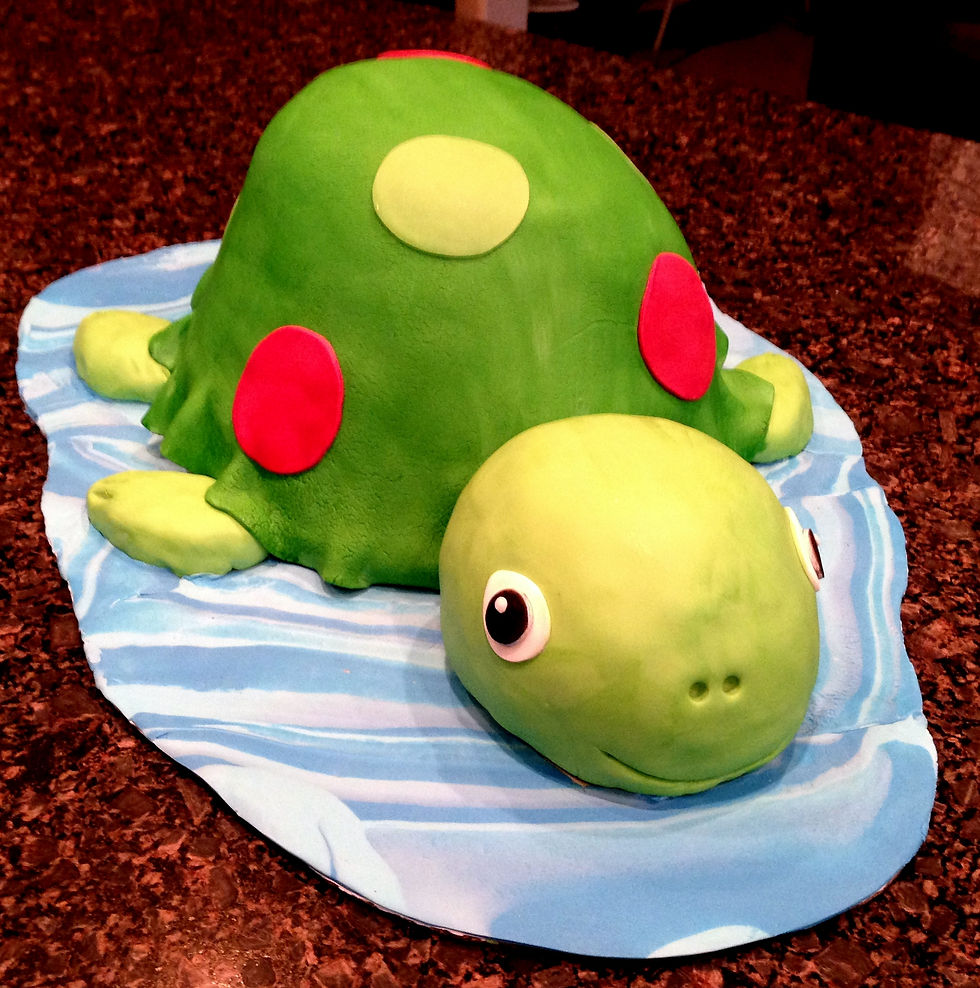 Turtle Cake