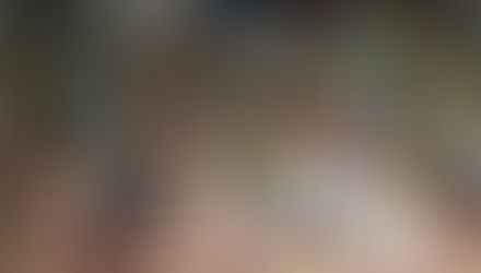 Belleville Flea Market January 21-22, 2017