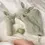 Thumbnail: JABADABADO - Baby Gift Set - Bunny Green