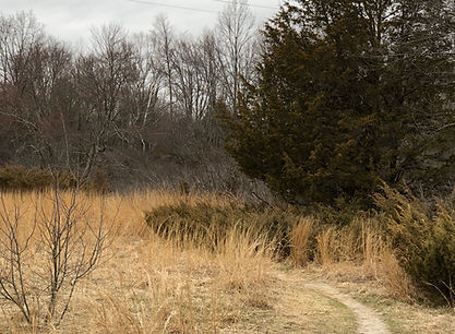 Emily Dickinson Trail.jpeg