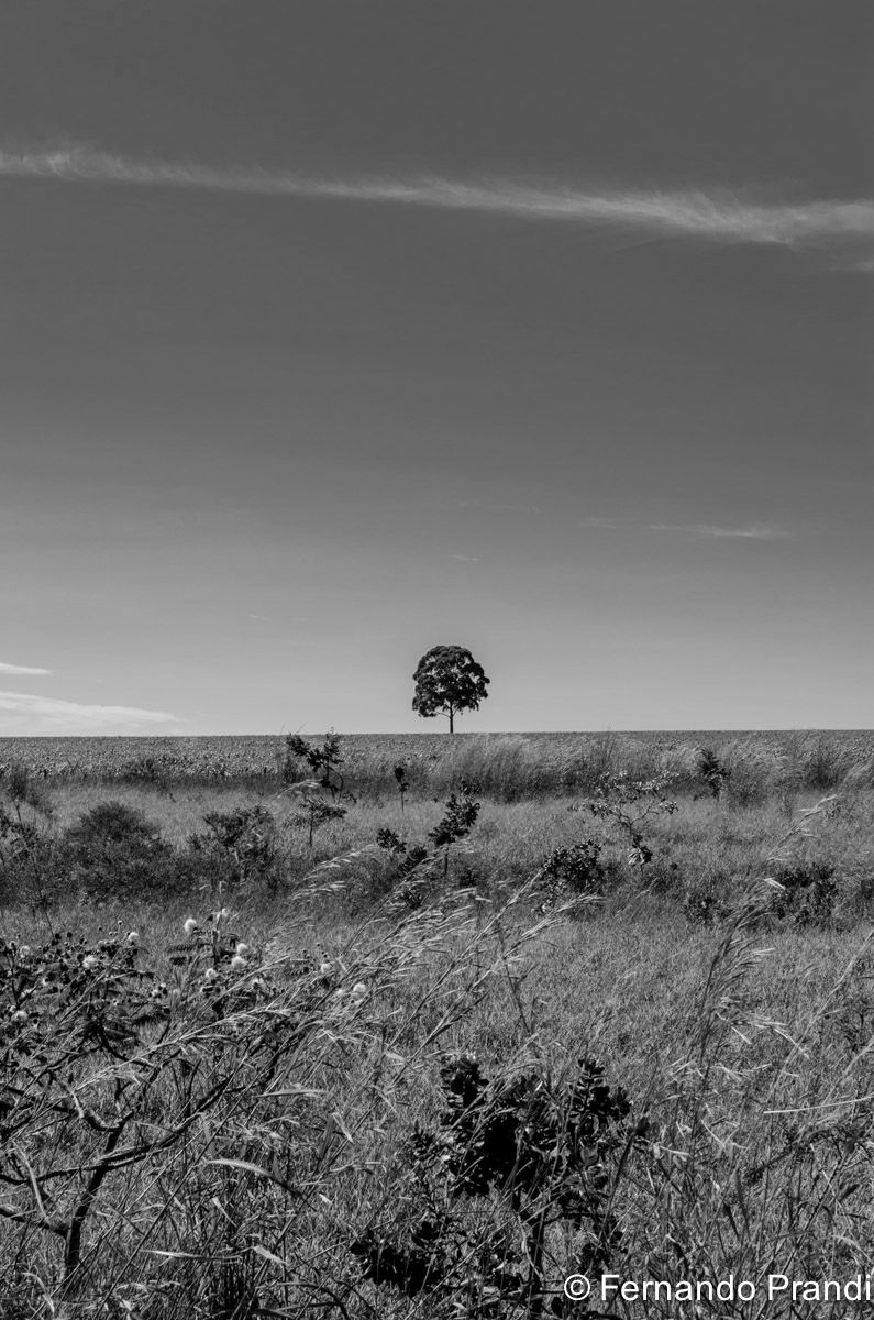 Chapada dos Veadeiros 03