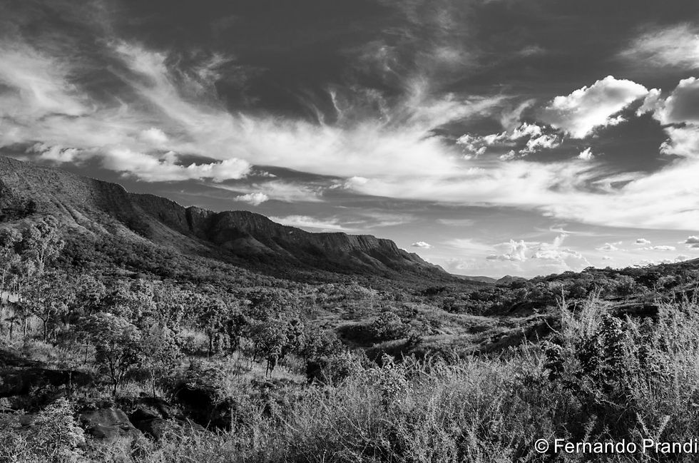 Chapada dos Veadeiros 01