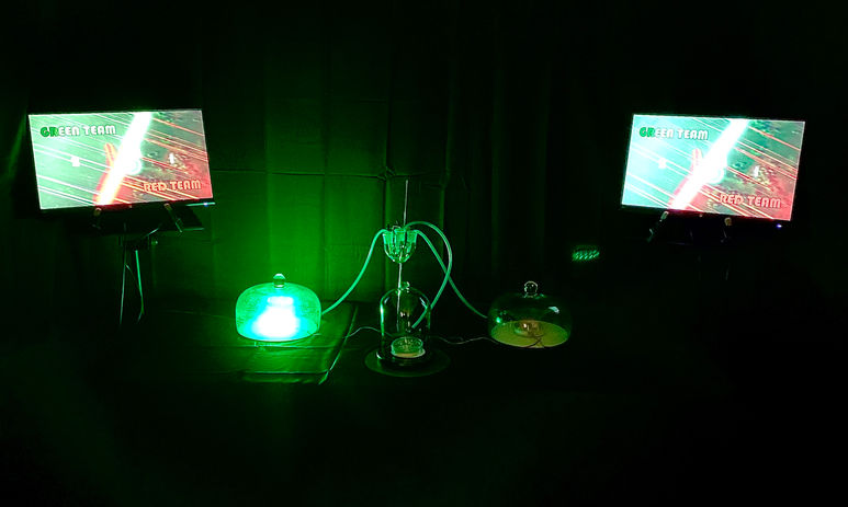 image00005.jpeg