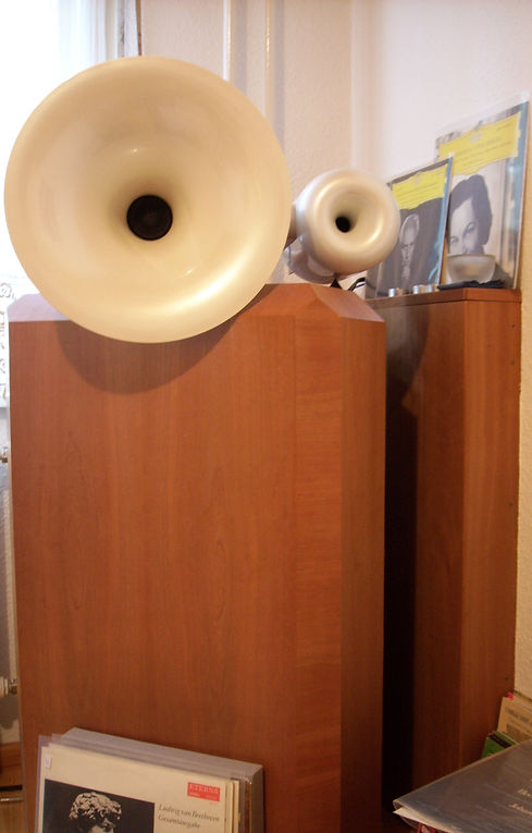 Horn1_edited.jpg