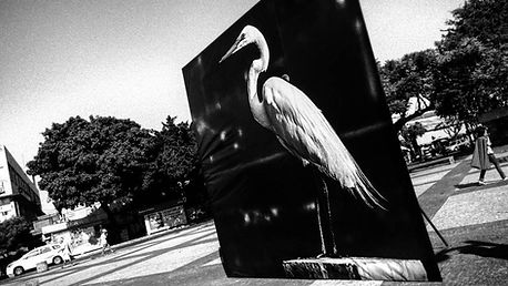 20225704_304960973240696_807167490286996