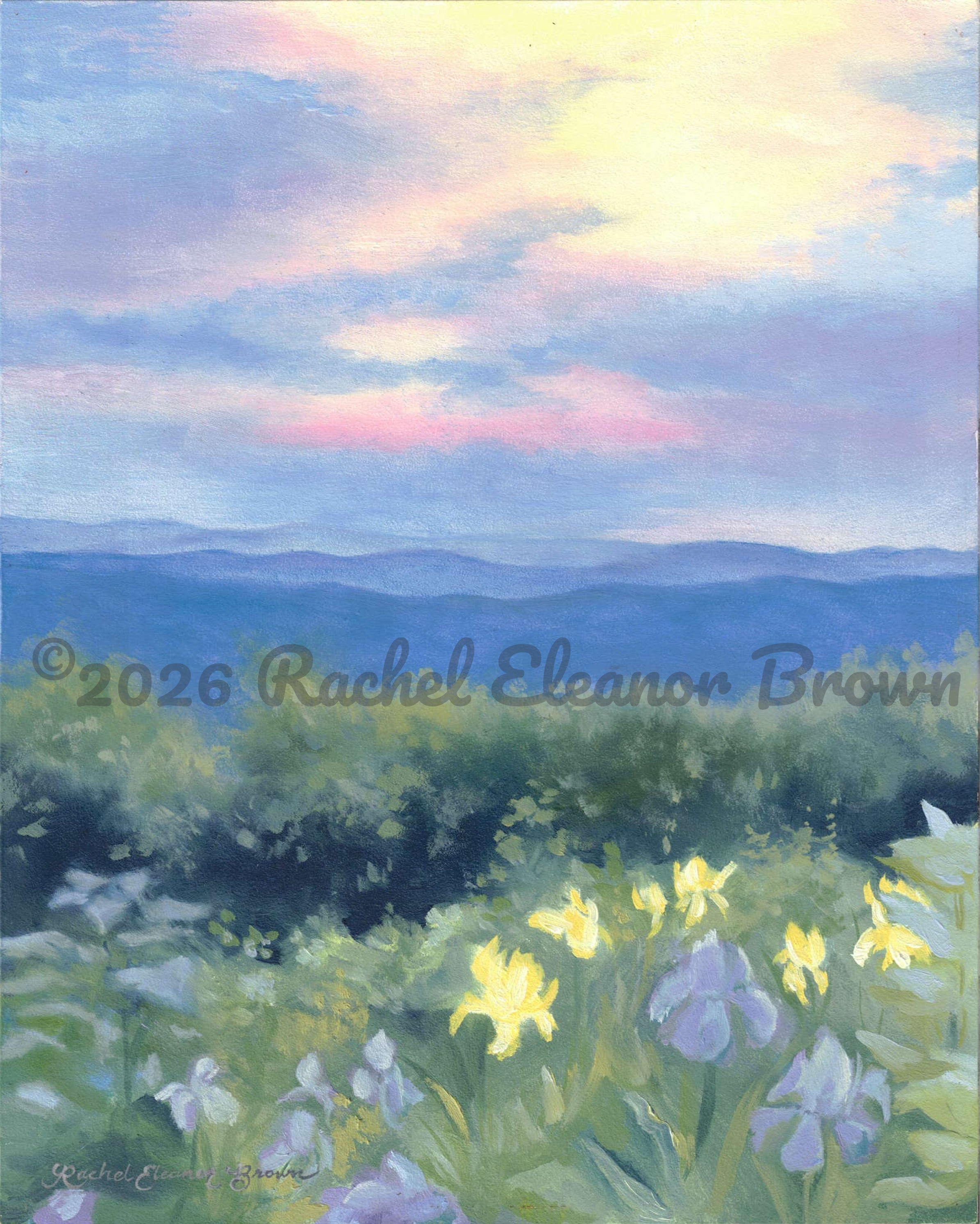 Irises Along the Pinnacle