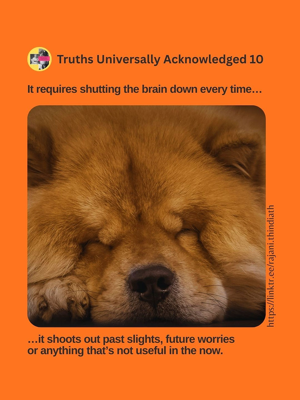 Sleeping dog - Photo by Omid Armin on Unsplash