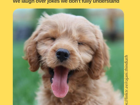 Long-haired brown dog in the outdoors, with eyes closed and tongue out, looks like it’s grinning - Photo by Mia Anderson on Unsplash