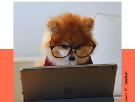 Photo by Cookie the Pom on Unsplash. Brown and white pomeranian dog wearing glasses looking down into a dark grey laptop.