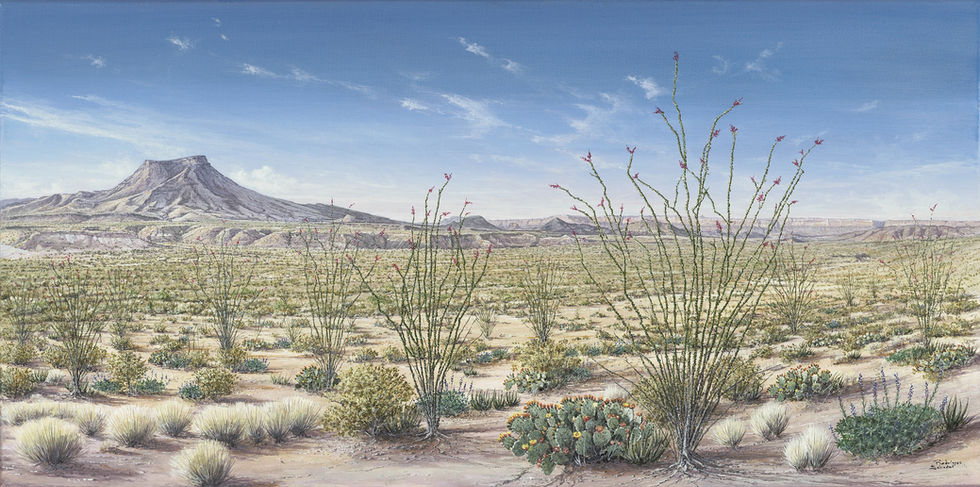 "Tule's Blooming Silence" 2025. Acrylic on canvas 24x48