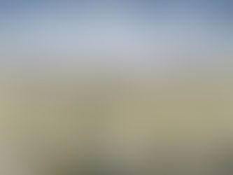 Austin Studio Tours 2025!