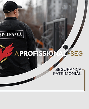 SEGURANÇA PATRIMONIAL.png