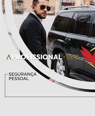 SEGURANÇA PESSOAL.png