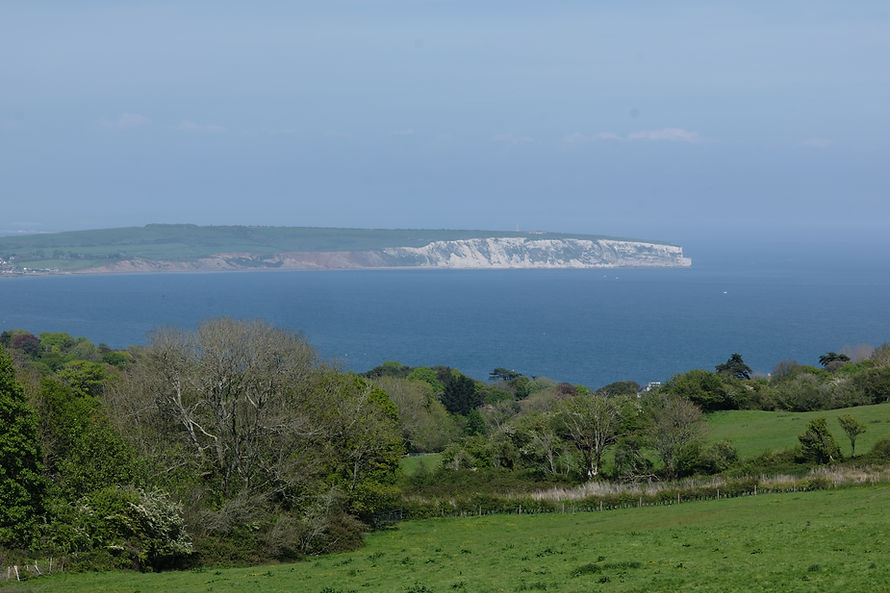 DSCF8202.JPG