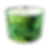 Verdant Palm- Green