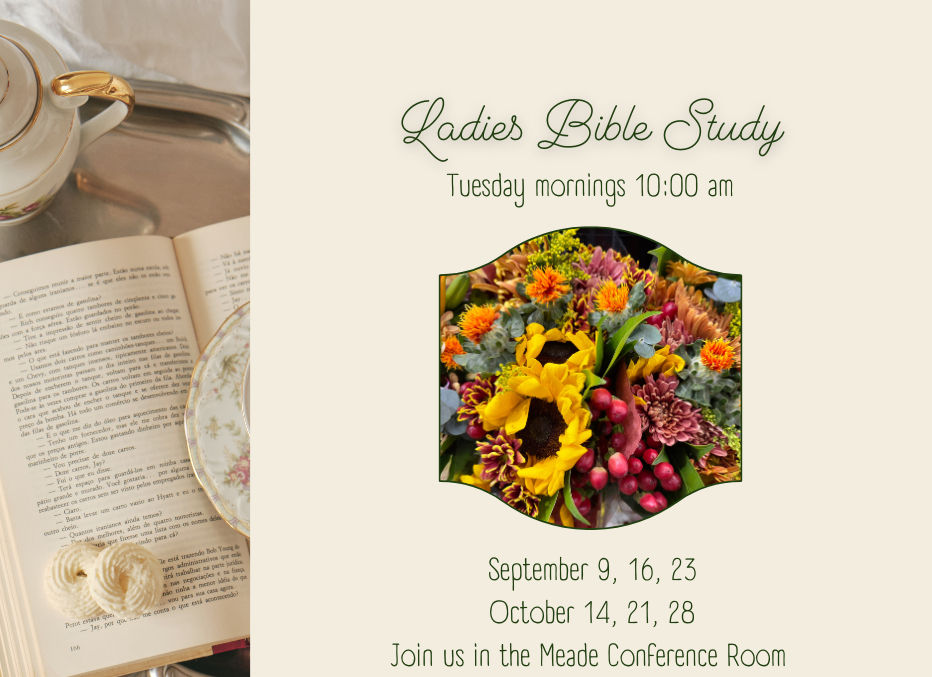 Ladies Bible Study