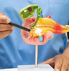 pankreas-hormon-testi